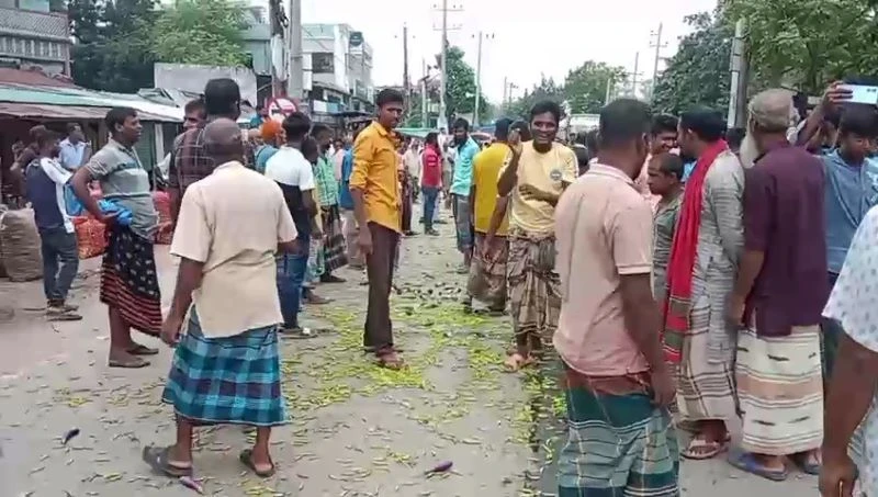 আদমদীঘিতে অবরোধ করে সড়কে মরিচ ফেলে কৃষকদের প্রতিবাদ